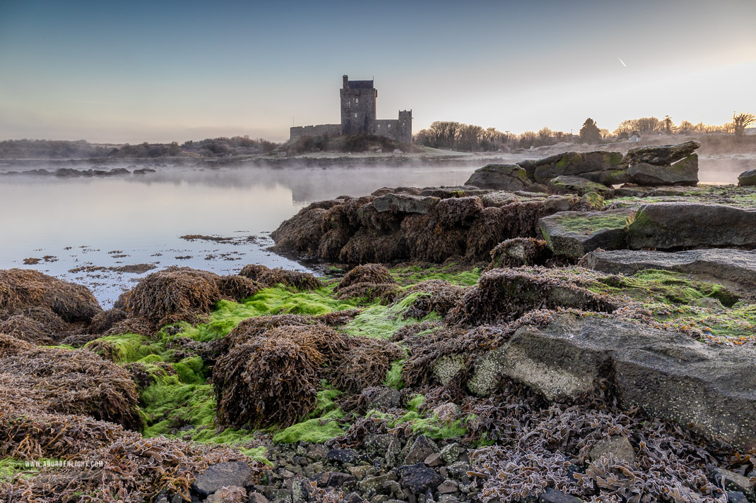 Dunguaire Castle Kinvara Clare Ireland - castle,dunguaire,frost,green algae,january,kinvara,mist,reflections,sunrise,winter,coast