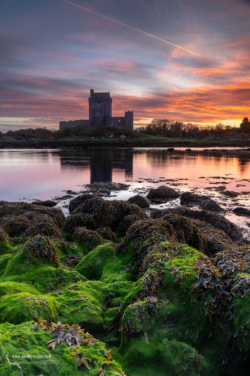 Dunguaire Castle Kinvara Clare Ireland - castle,dunguaire,green algae,kinvara,landmark,march,pink,twilight,winter,coast