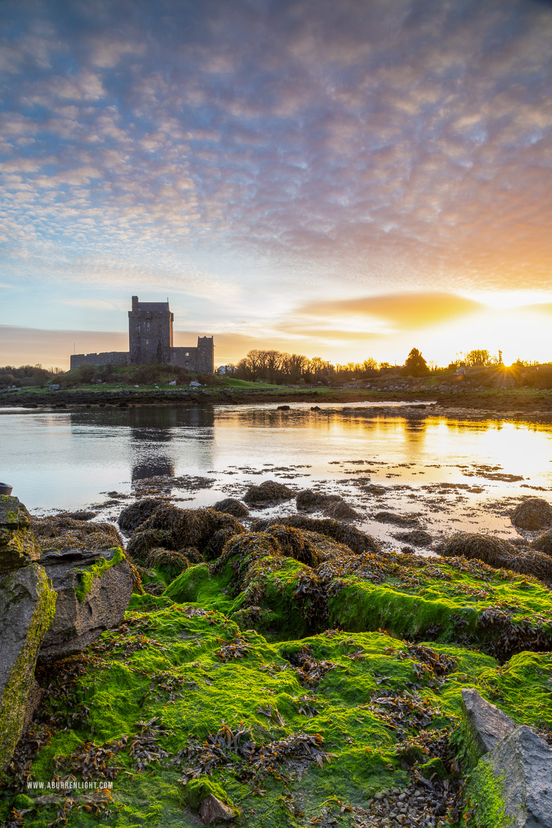 Dunguaire Castle Kinvara Clare Ireland - castle,dunguaire,green algae,kinvara,landmark,march,sunrise,winter,golden