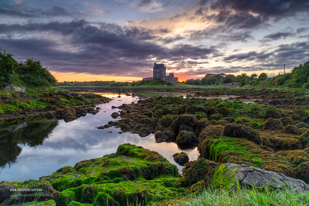 Dunguaire Castle Kinvara Clare Ireland - castle,coast,dunguaire,foliage,green algae,june,kinvara,landmark,summer,sunrise