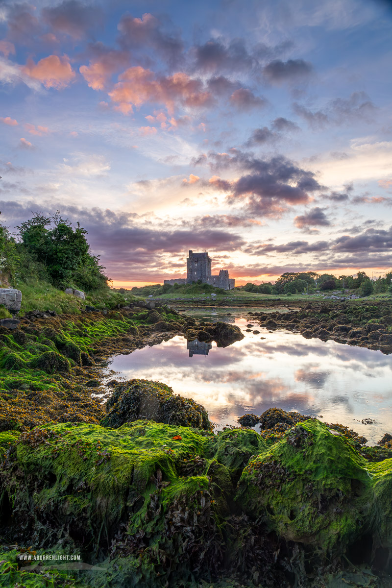 Dunguaire Castle Kinvara Clare Ireland - castle,coast,dunguaire,foliage,green algae,june,limited,kinvara,landmark,summer,sunrise