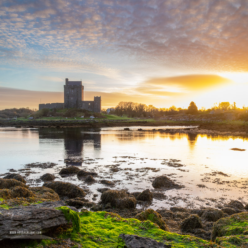 Dunguaire Castle Kinvara Clare Ireland - castle,coast,dunguaire,green algae,kinvara,landmark,march,pink,square,sunrise,winter