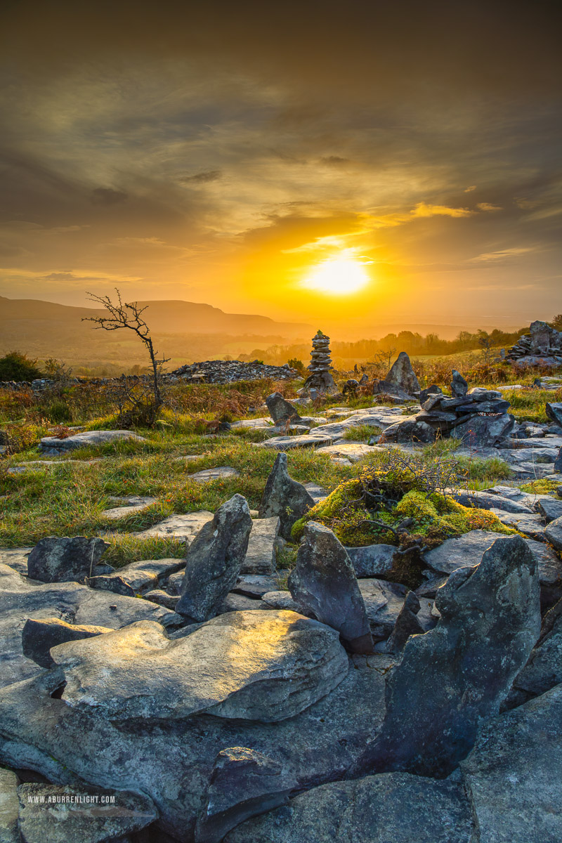 Fahee North Carron Burren East Clare Ireland - autumn,fahee,golden,hills,limited,lone tree,mist,october,portfolio,prayer,stone,sunrise,portfolio,pick-hills,limited