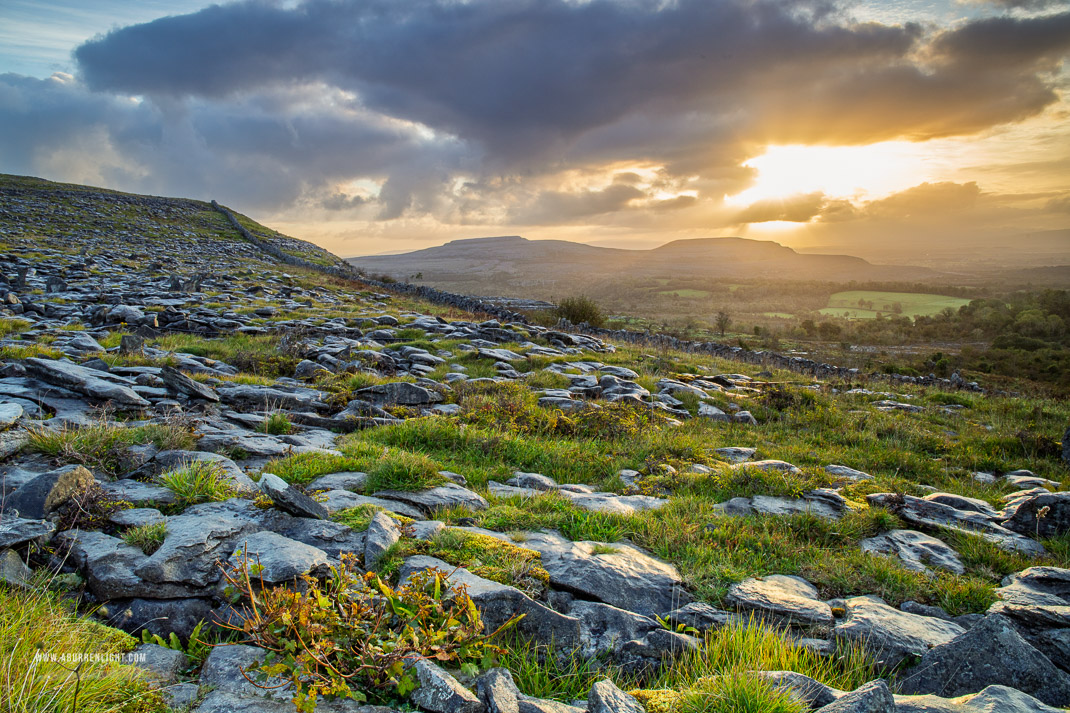 Fahee North Carron Burren East Clare Ireland - fahee,golden,hills,pick-hills,portfolio,september,summer,sunrise,wall