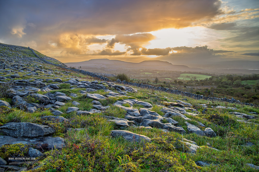 Fahee North Carron Burren East Clare Ireland - fahee,golden,hills,pick-hills,september,summer,sunrise,wall