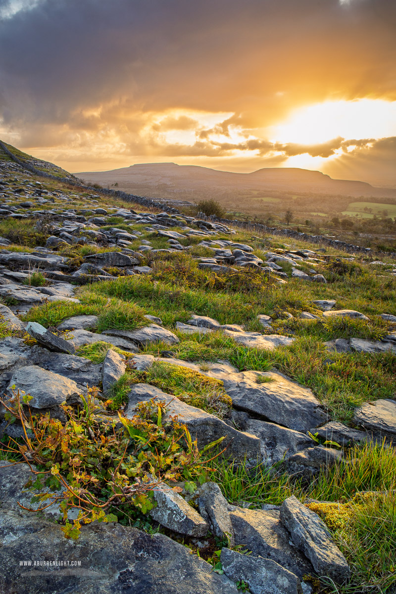 Fahee North Carron Burren East Clare Ireland - fahee,golden,hills,pick-hills,portfolio,september,summer,sunrise,wall