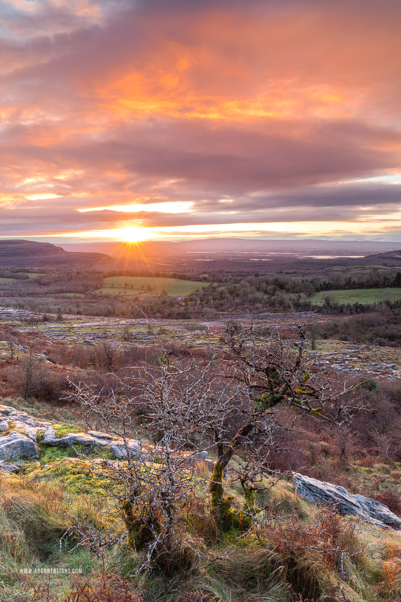 Fahee North Carron Burren East Clare Ireland - fahee,lone tree,march,orange,sunrise,sunstar,winter,hills