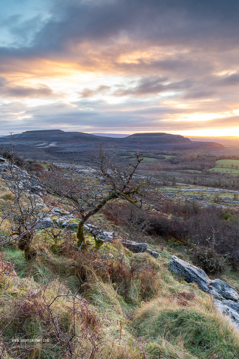 Fahee North Carron Burren East Clare Ireland - fahee,lone tree,march,sunrise,winter,hills