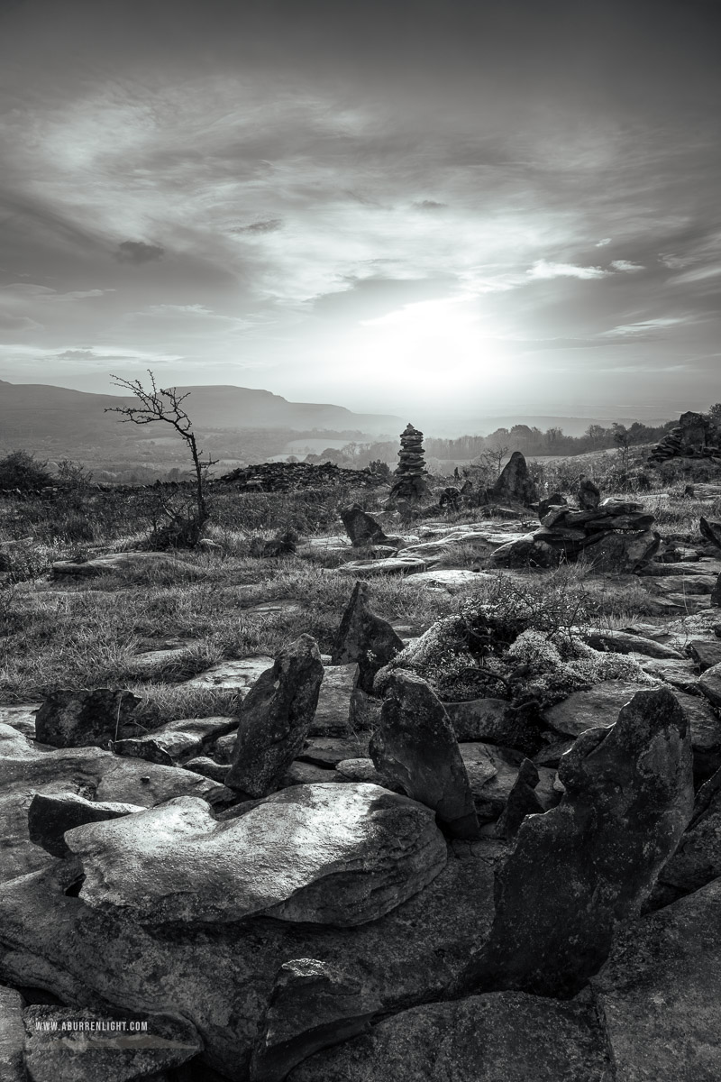 Fahee North Carron Burren East Clare Ireland - autumn,fahee,golden,hills,lone tree,mist,monochrome,october,prayer,stone,sunrise