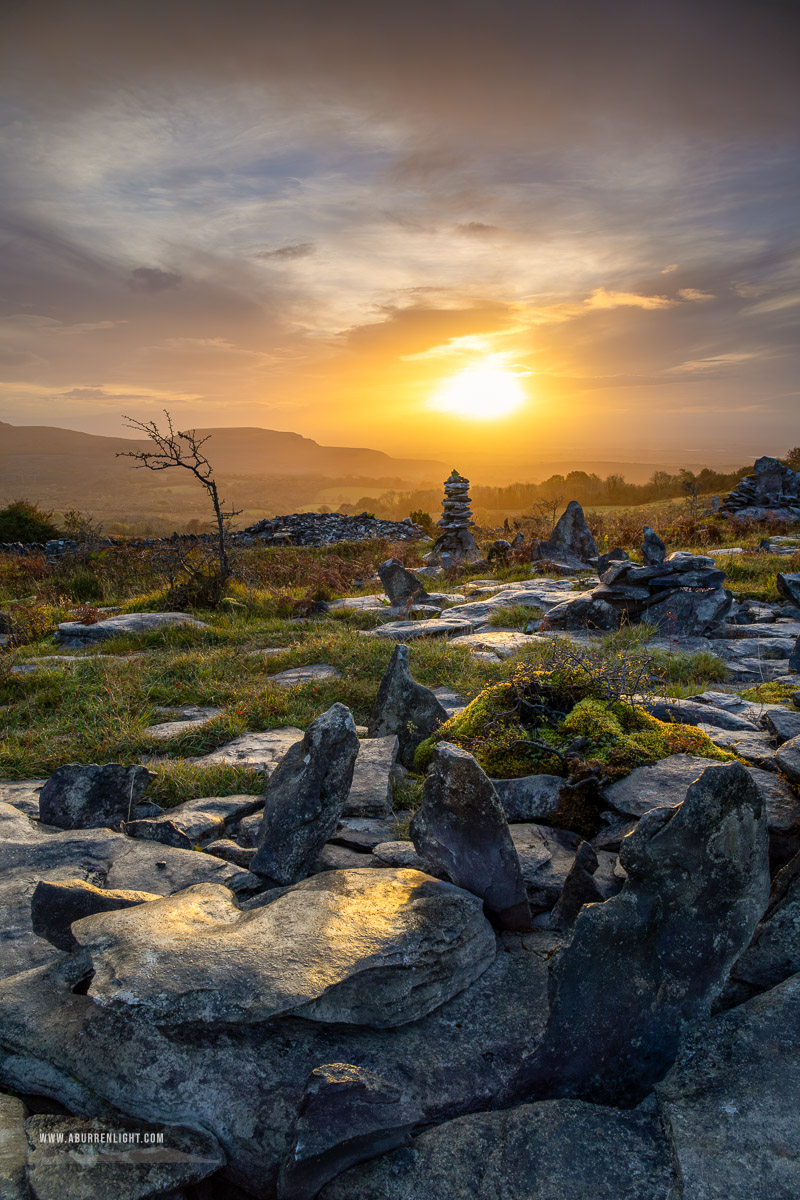 Fahee North Carron Burren East Clare Ireland - autumn,fahee,golden,hills,lone tree,mist,october,portfolio,prayer,stone,sunrise