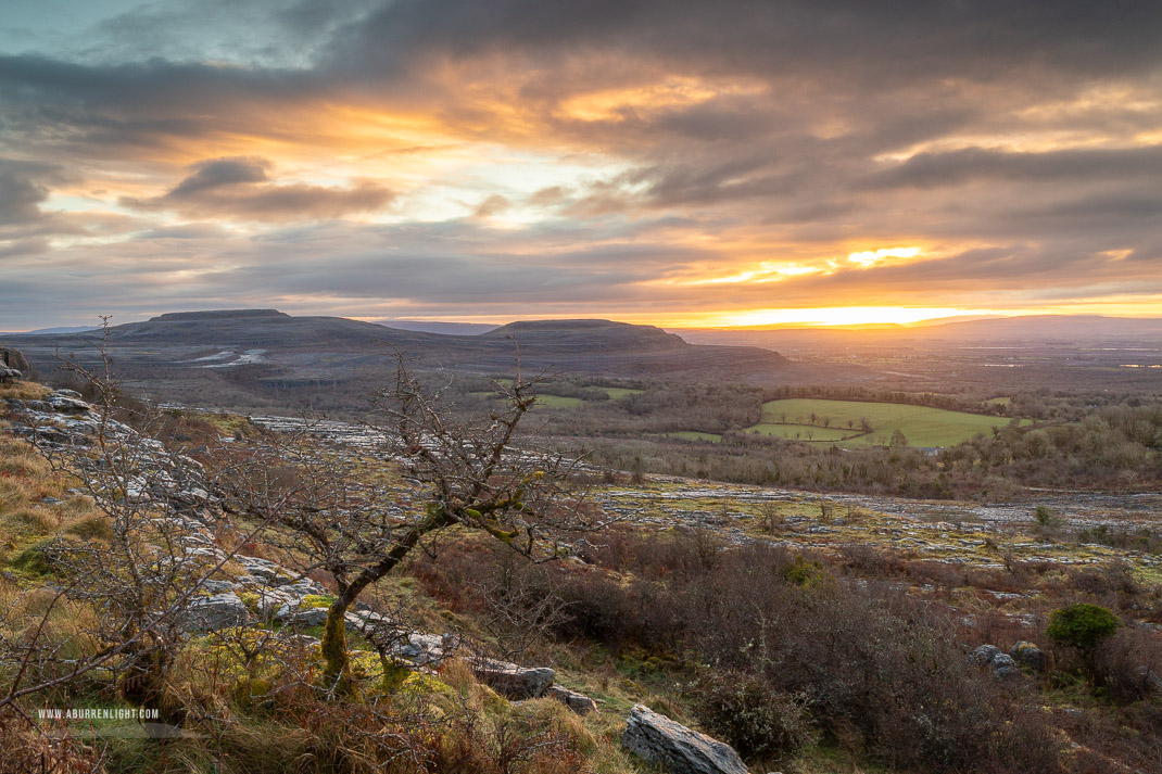 Fahee North Carron Burren East Clare Ireland - fahee,lone tree,hills,march,golden,sunrise,winter