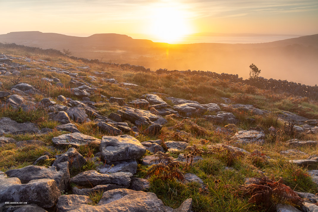 Fahee North Carron Burren East Clare Ireland - autumn,fahee,mist,october,sunrise,golden,hills