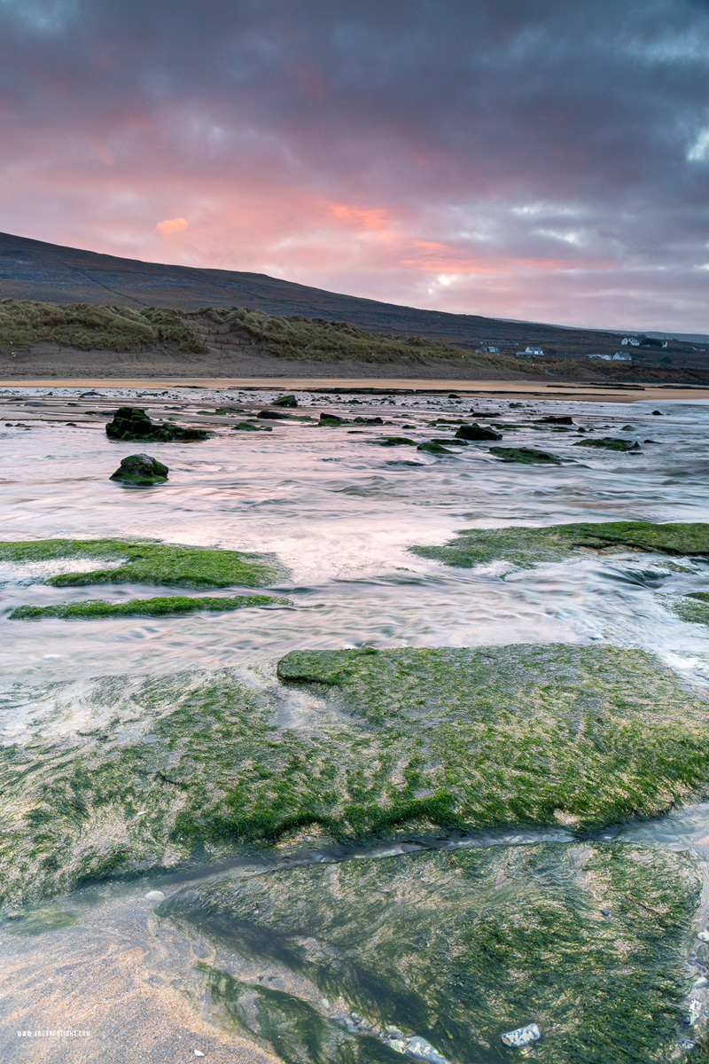 Fanore Beach Wild Atlantic Way Clare Ireland - december,fanore,green algae,pink,sunrise,winter,coast,beach