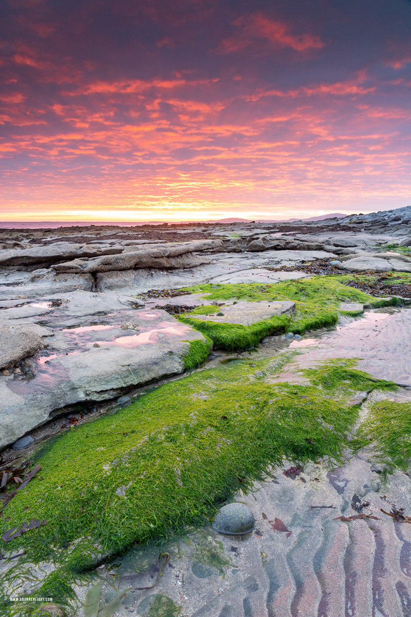 Gleninagh Ballyvaughan Wild Atlantic Way Clare Ireland - april,gleninagh,green algae,pink,sand ripples,spring,sunrise,coast,ballyvaughan