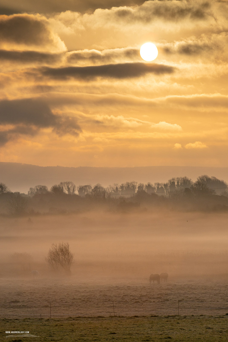 Gort Galway Ireland - autumn,december,gort,mist,sunrise,golden,lowland