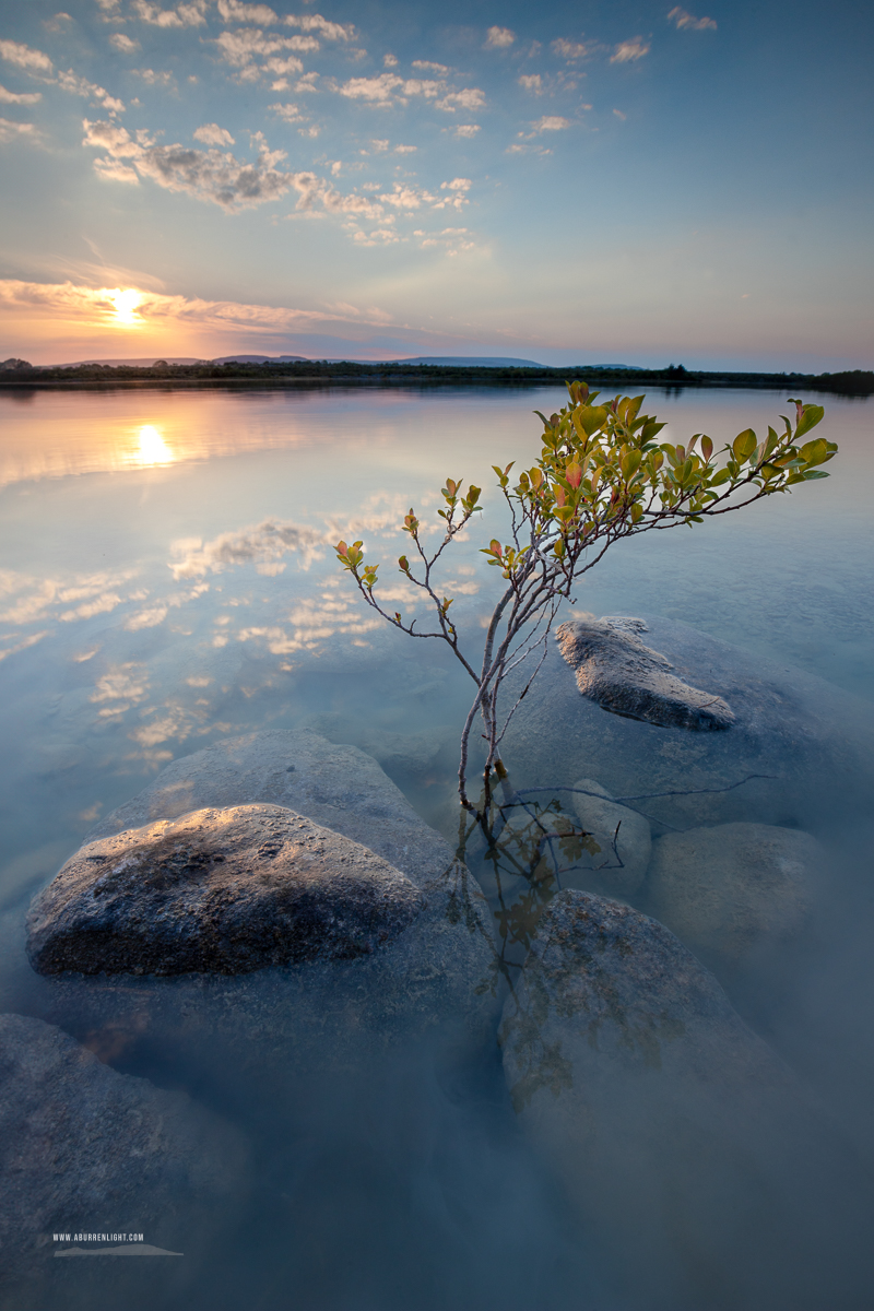 Lough Bunny Clare Ireland - blue hour,lough bunny,may,spring,sunset,portfolio,lowland,sappling,reflection,pick-lowland