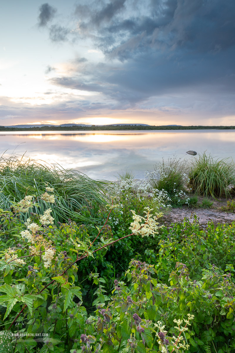 Lough Bunny Clare Ireland - dusk,flowers,july,lough bunny,reflections,summer,blue,green,lowland