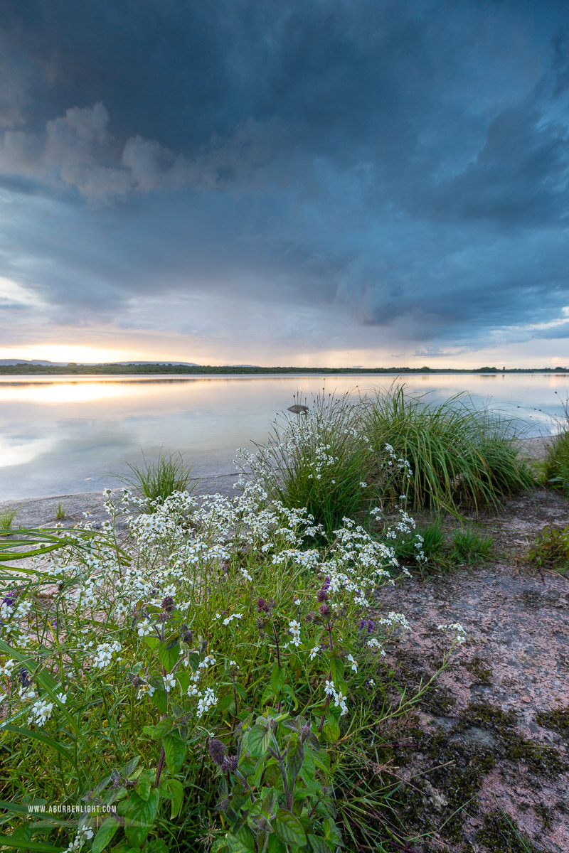 Lough Bunny Clare Ireland - dusk,flowers,july,lough bunny,reflections,summer,blue,lowland