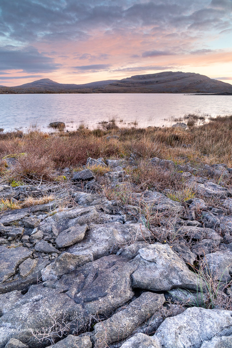 Mullaghmore Burren National Park Clare Ireland - sunrise,autumn,december,mullaghmore,pink,park