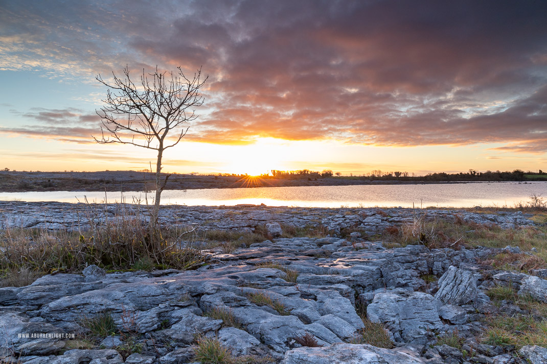 Mullaghmore Burren National Park Clare Ireland - autumn,december,lone tree,mullaghmore,sunrise,sunstar,park,golden