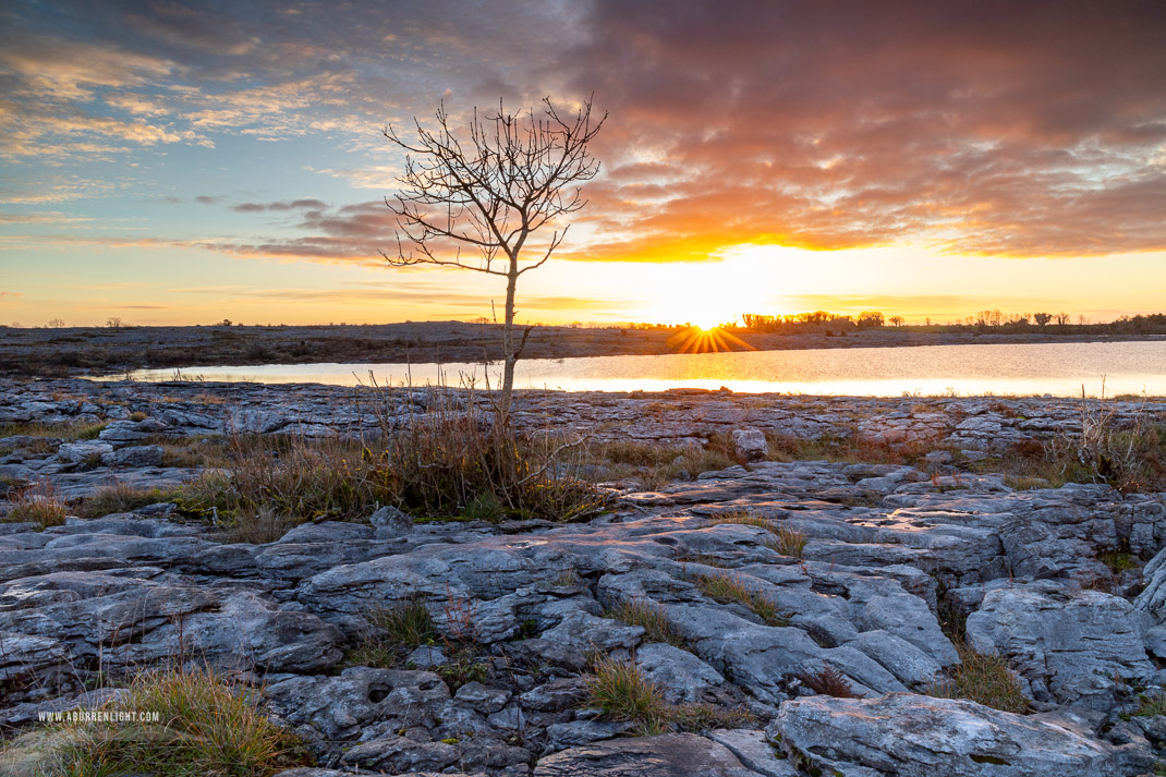 Mullaghmore Burren National Park Clare Ireland - autumn,december,lone tree,mullaghmore,sunrise,sunstar,park,golden