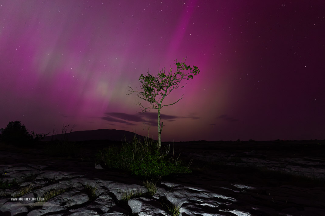 Mullaghmore Burren National Park Clare Ireland - aurora,lone tree,long exposure,may,mullaghmore,night,park,pilars,purple,spring,astro