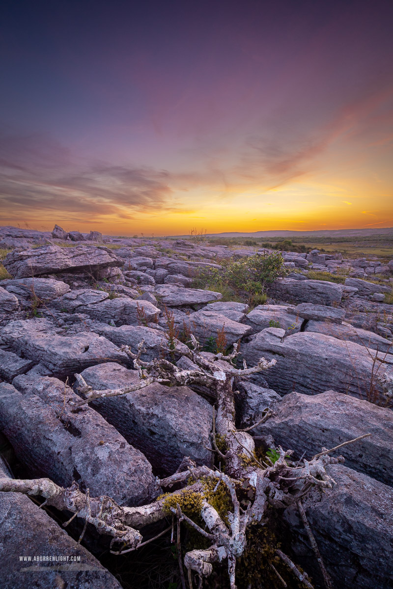 Mullaghmore Burren National Park Clare Ireland - dusk,mullaghmore,orange,park,root,september,summer