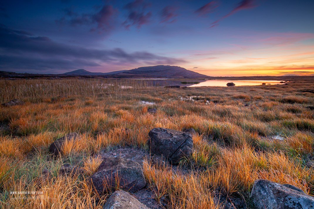 Mullaghmore Burren National Park Clare Ireland - autumn,copper,mullaghmore,october,park,reeds,reflections,twilight