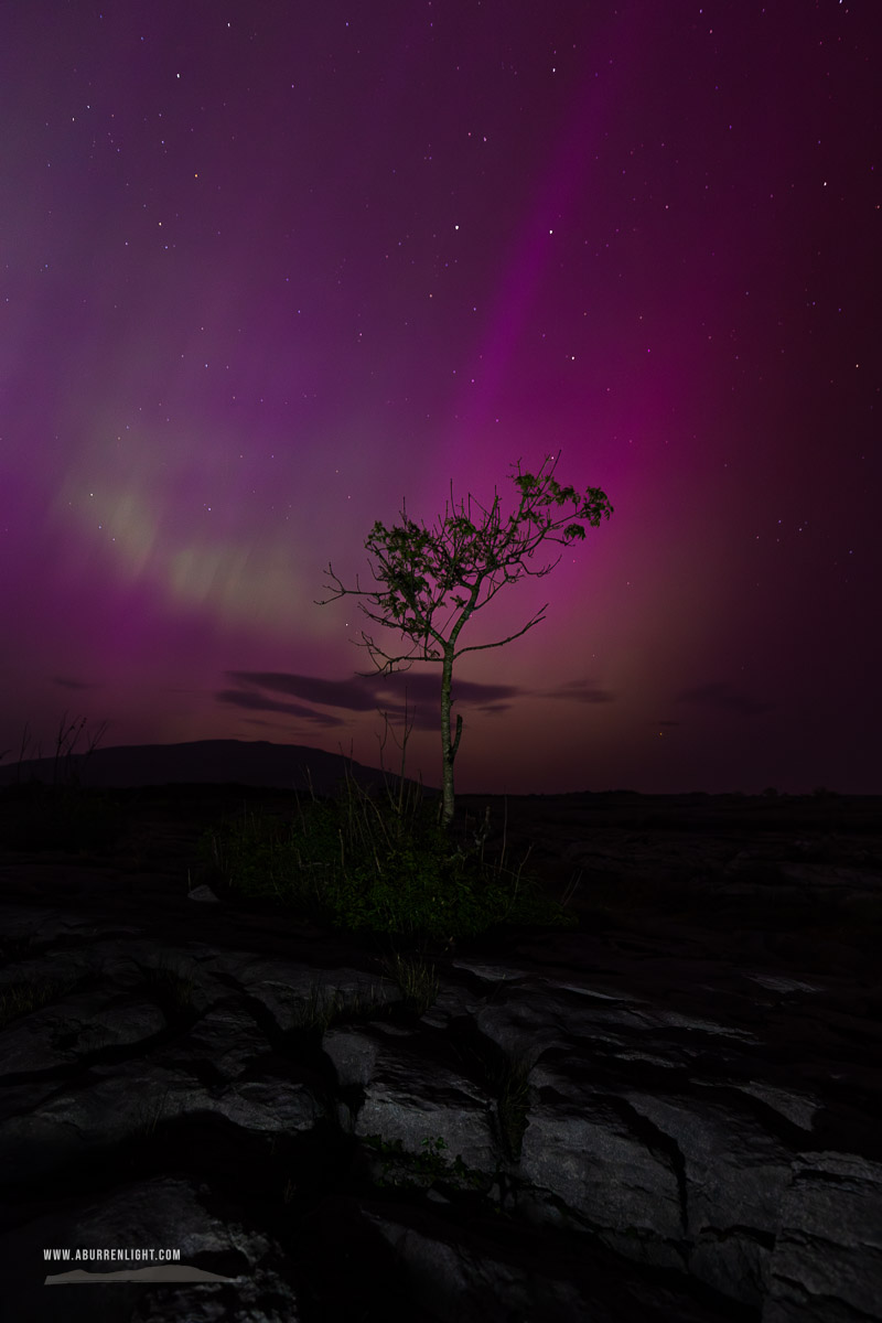 Mullaghmore Burren National Park Clare Ireland - aurora,lone tree,long exposure,may,mullaghmore,night,park,pilars,purple,spring,portfolio