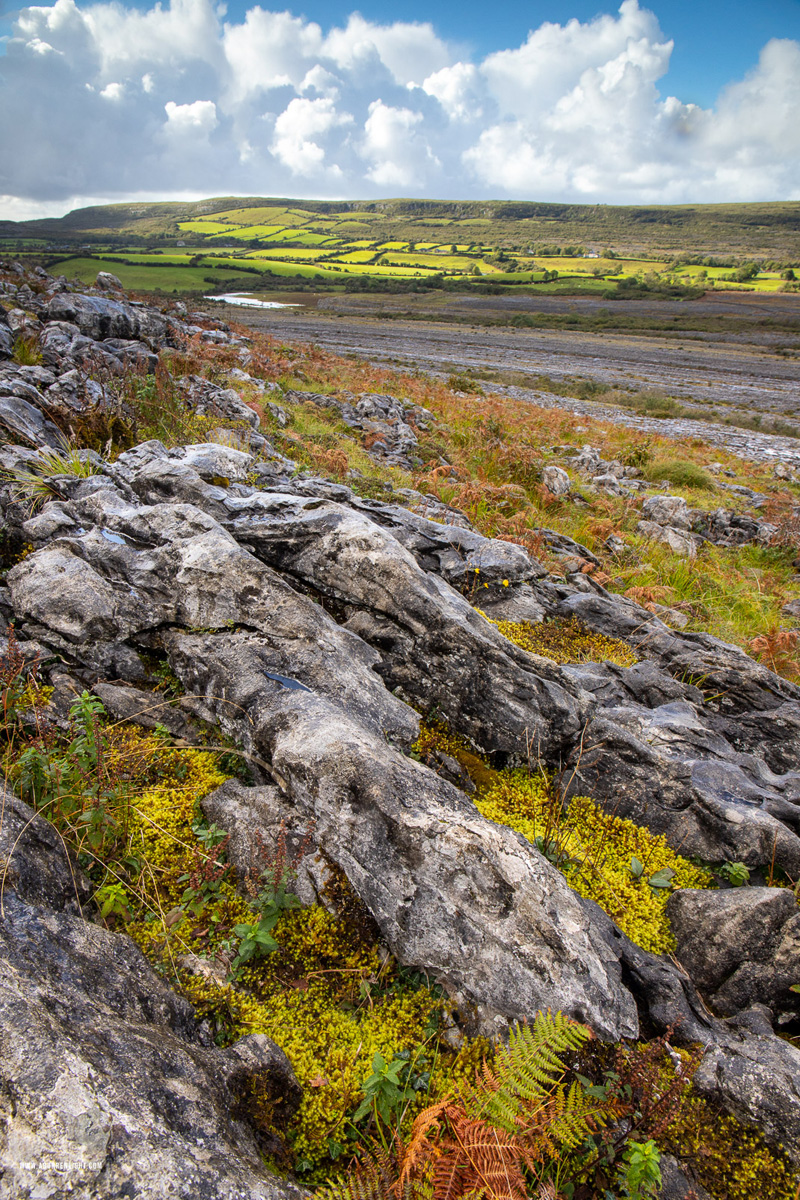 Mullaghmore Burren National Park Clare Ireland - autumn,mullaghmore,september,october,park