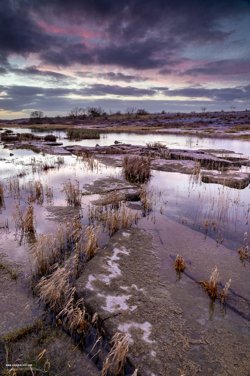 Mullaghmore Burren National Park Clare Ireland - dusk,january,mullaghmore,winter,park,magenta,pink