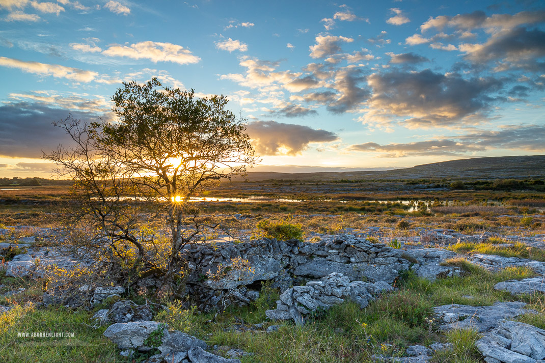 Mullaghmore Burren National Park Clare Ireland - autumn,lone tree,mullaghmore,september,sunset,sunstar,park