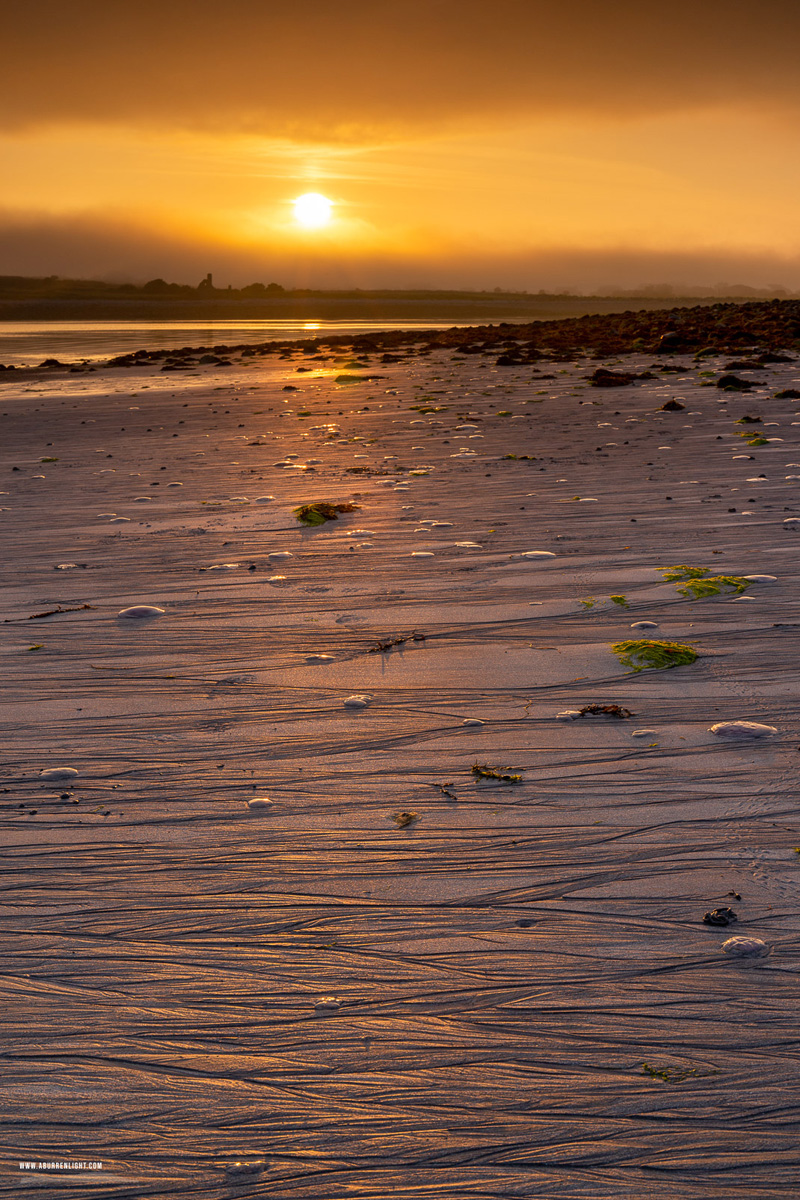 New Quay Kinvara Wild Atlantic Way Clare Ireland - golden hour,jellyfish,july,kinvara,new quay,rill,summer,mist,sunrise,coast