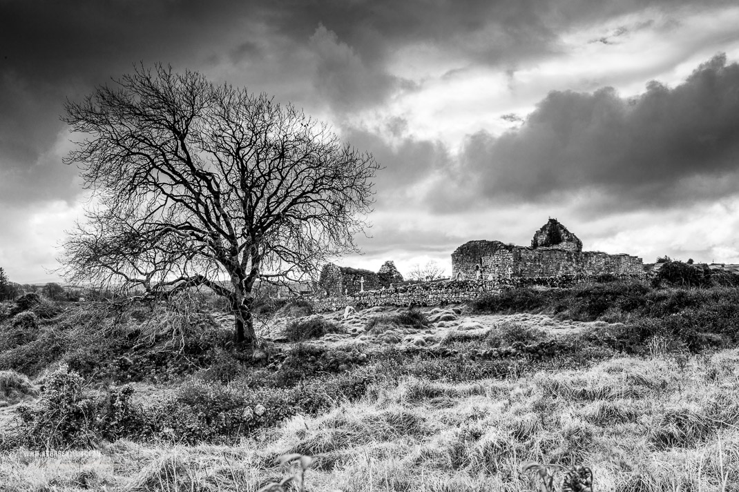 Noughaval Churches Burren Clare Ireland - autumn,monochrome,church,hills,lone tree,noughaval,november