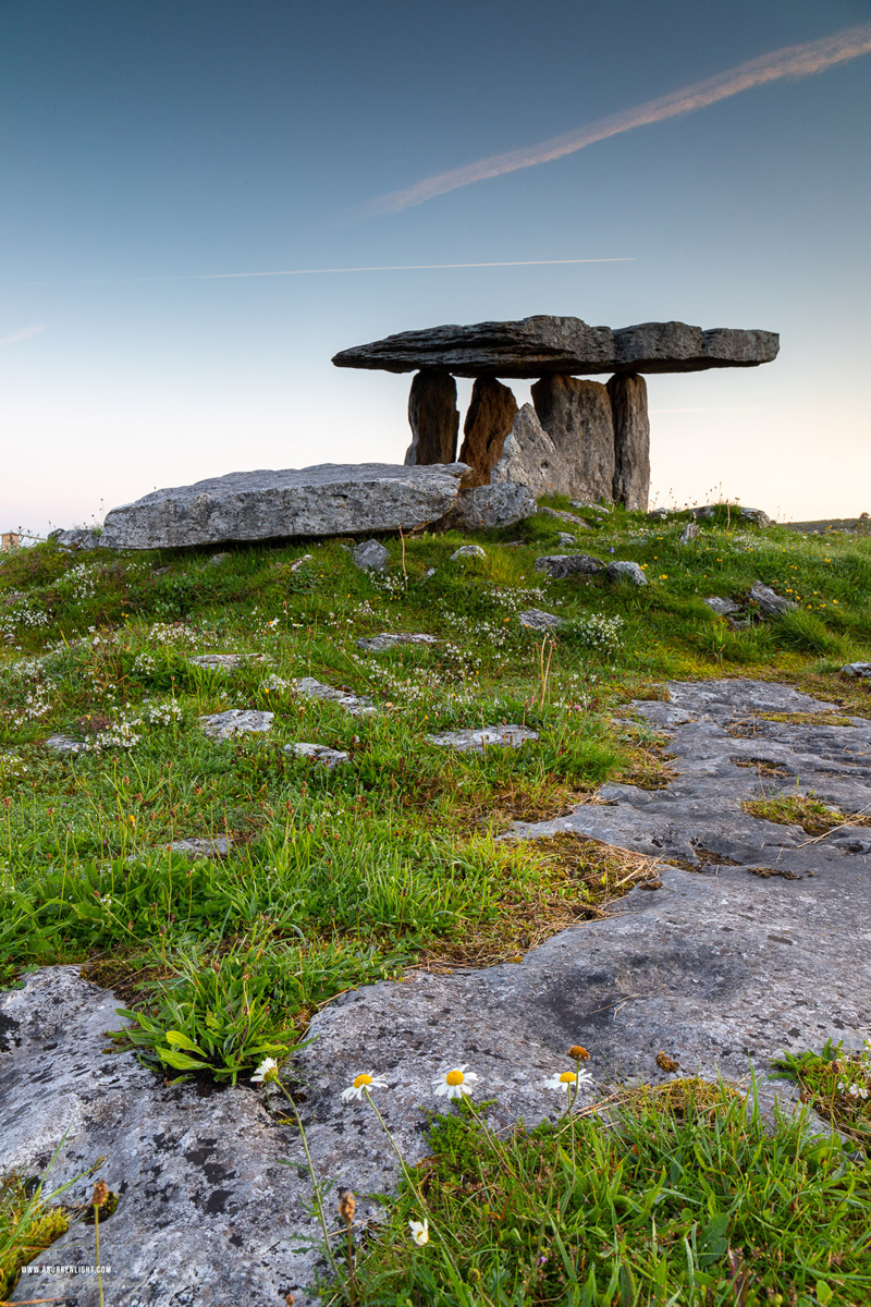 Poulnabrone Dolmen Roughan Hill Burren Clare Ireland - august,dolmen,flowers,landmark,poulnabrone,summer,tomb,daisies,hills,roughan