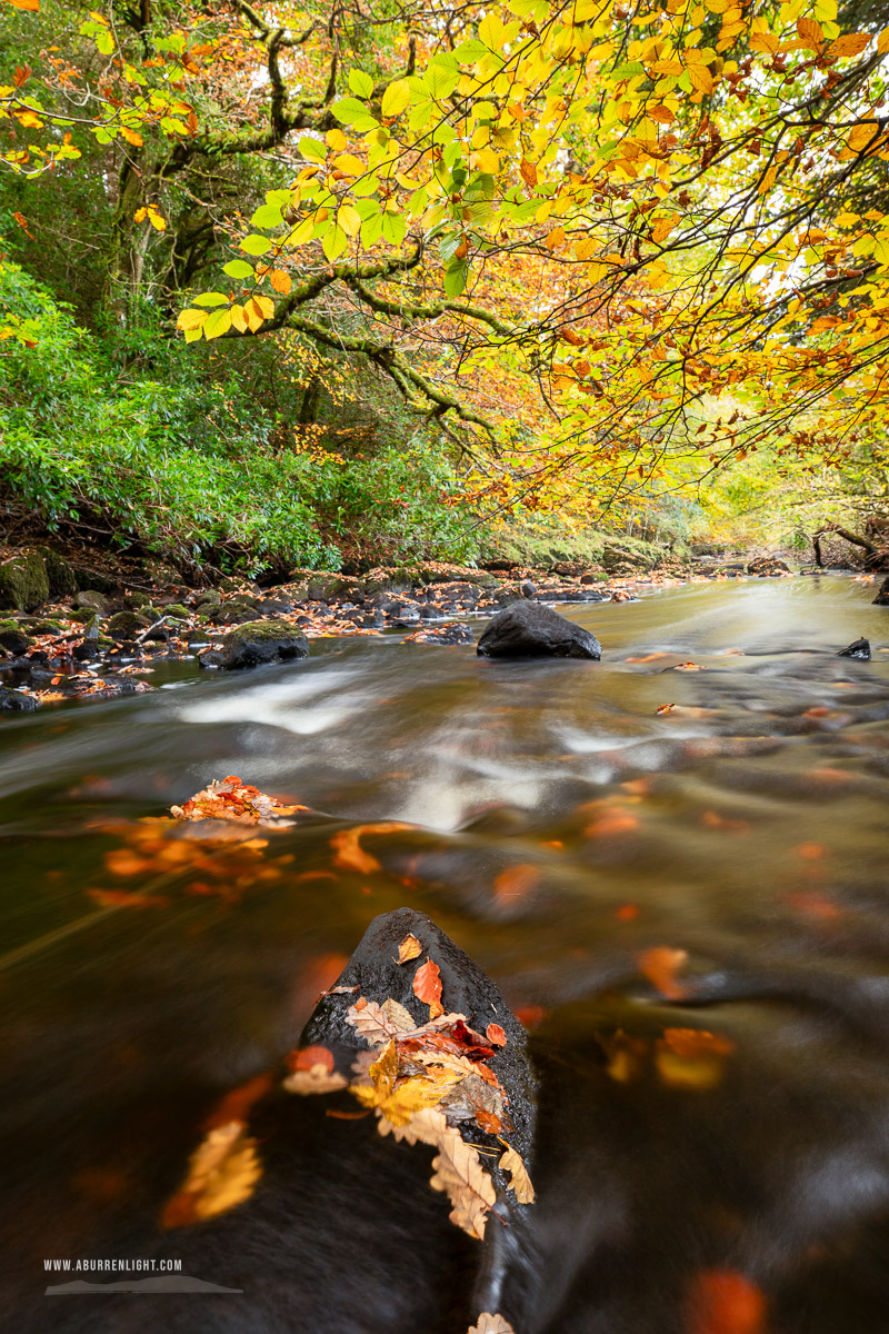 The Burren Clare Ireland - autumn,long exposure,lowlands,october,pick-lowland,river,monthly-pick,portfolio
