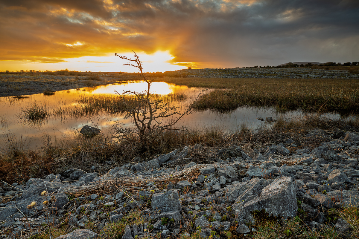 The Burren Clare Ireland - golden,january,lowland,pick-lowland,reeds,reflections,sunset,winter