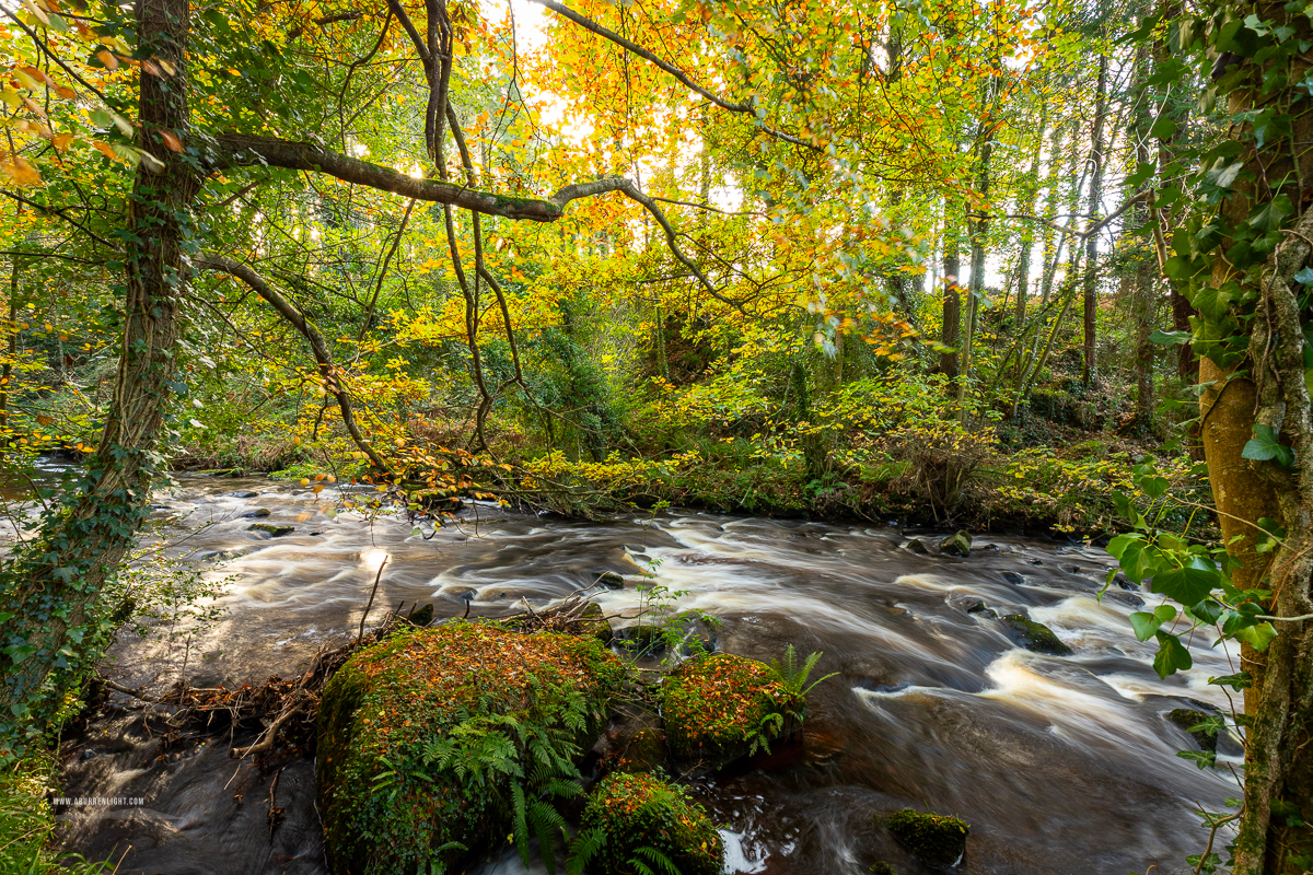 The Burren Clare Ireland - blog