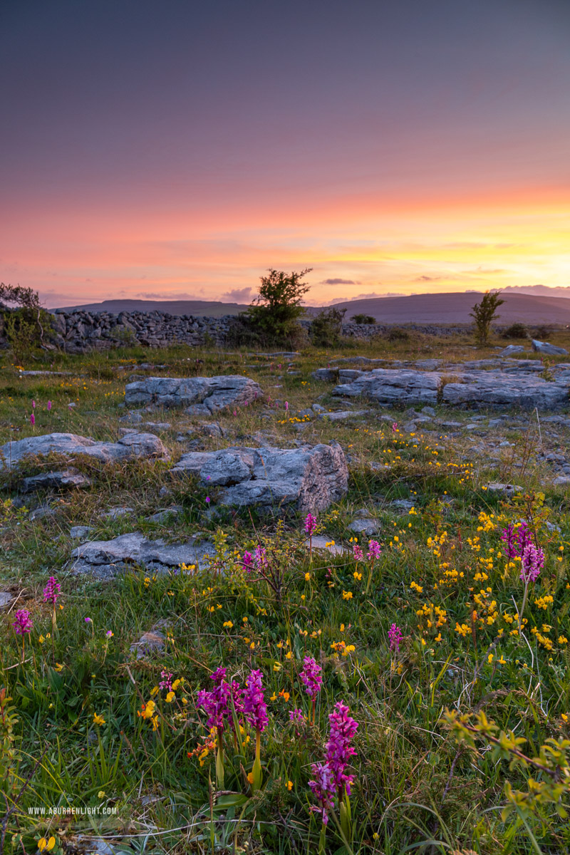 The Burren Clare Ireland - afterburn,dusk,flowers,long exposure,may,orchids,spring,sunset,coast