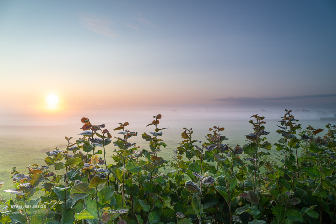 The Burren Clare Ireland - golden,july,mist,rural,summer,sunrise,lowland