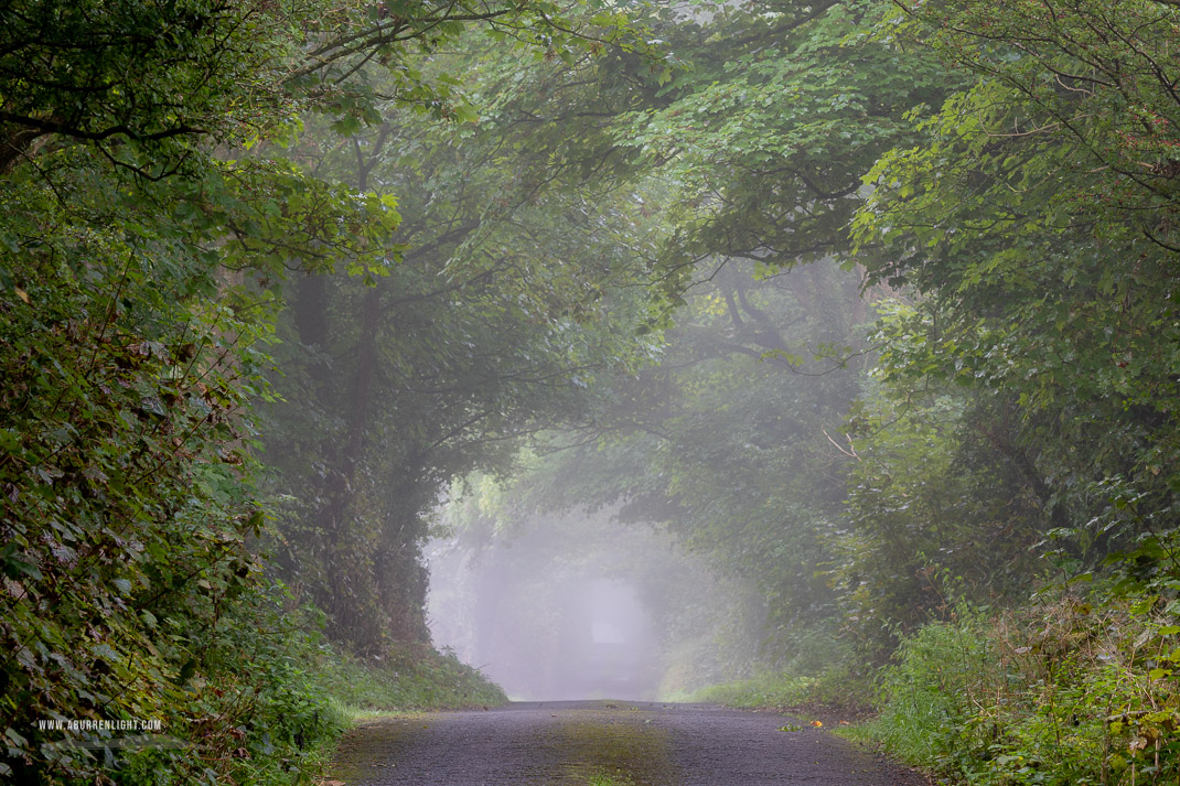 The Burren Clare Ireland - mist,september,summer,trees,lowland