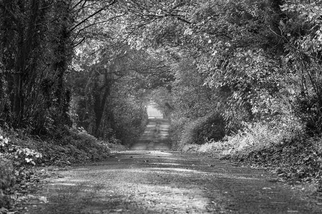 Boston Clare Ireland - autumn,monochrome,rockvale,boston,lowland,october,trees