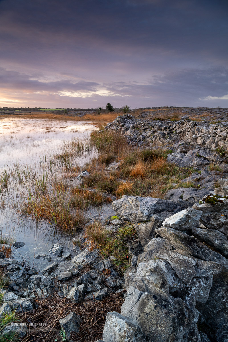 The Burren Clare Ireland - autumn,december,golden,lowland,stone,sunrise,wall