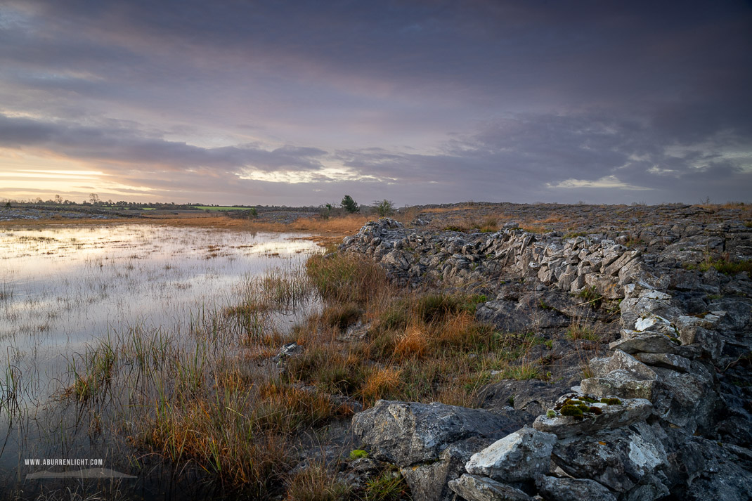 The Burren Clare Ireland - autumn,december,golden,lowland,stone,sunrise,wall