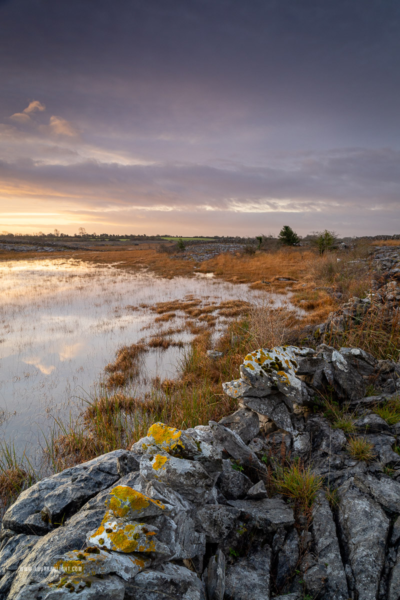 The Burren Clare Ireland - autumn,december,golden,lowland,stone,sunrise,wall