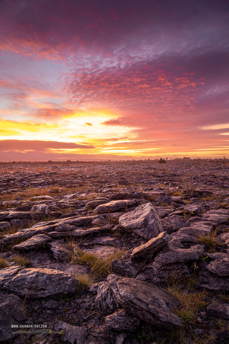 The Burren Clare Ireland - autumn,december,lowland,pink,twilight,portfolio