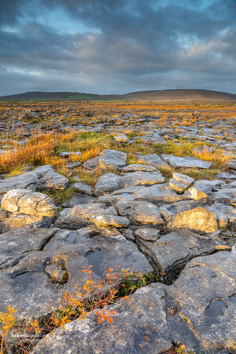 The Burren Clare Ireland - autumn,golden hour,november,sunrise,lowland,golden