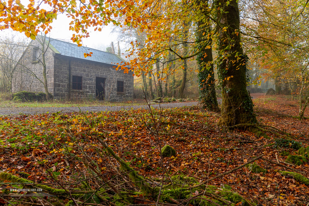 The Burren Clare Ireland - autumn,golden hour,november,sunrise,woods,lowland