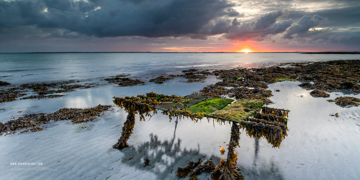 The Doorus peninsula Kinvara Clare Ireland - doorus,june,oyster bed,panorama,summer,sunrise,coast