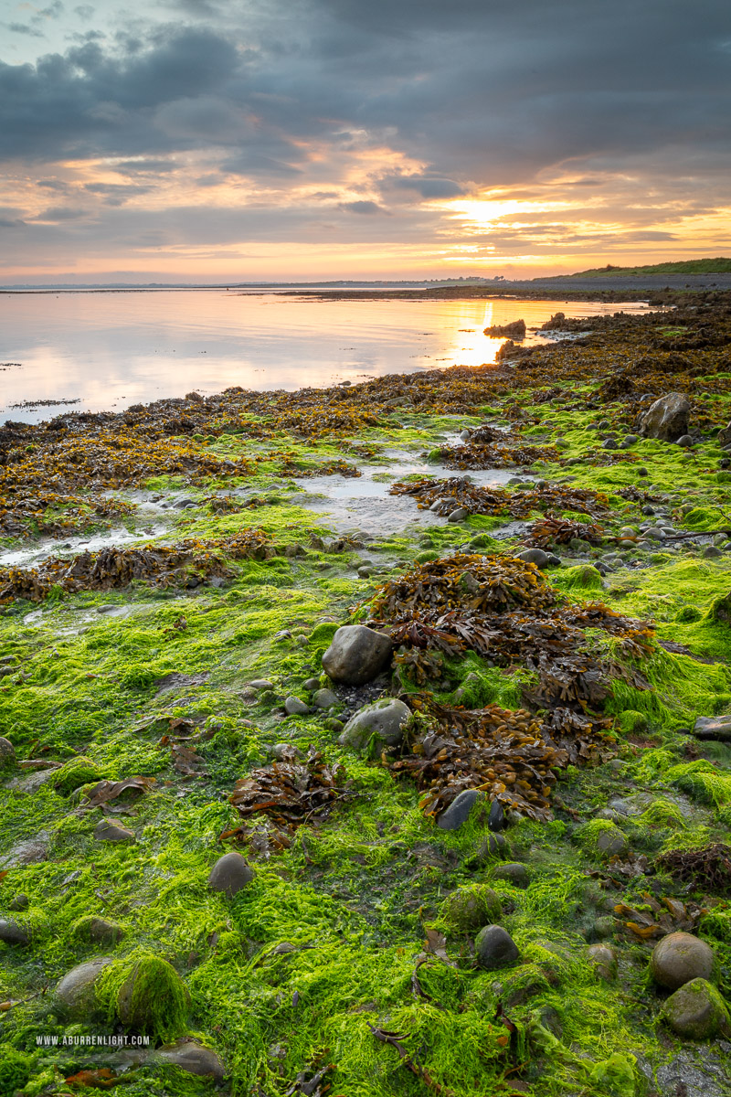 The Doorus peninsula Kinvara Clare Ireland - algae,doorus,september,summer,sunrise,coast,green,golden